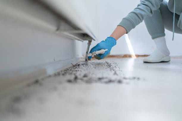 Best Pest Inspection Near Me  in Camn, DE
